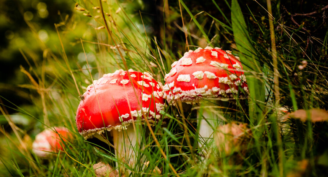 20% discount in October for a minimum of 7 nights!